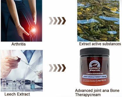 Raindew™ Leech Advanced Joint & Muscle Therapy Cream - specializing in orthopedic conditions